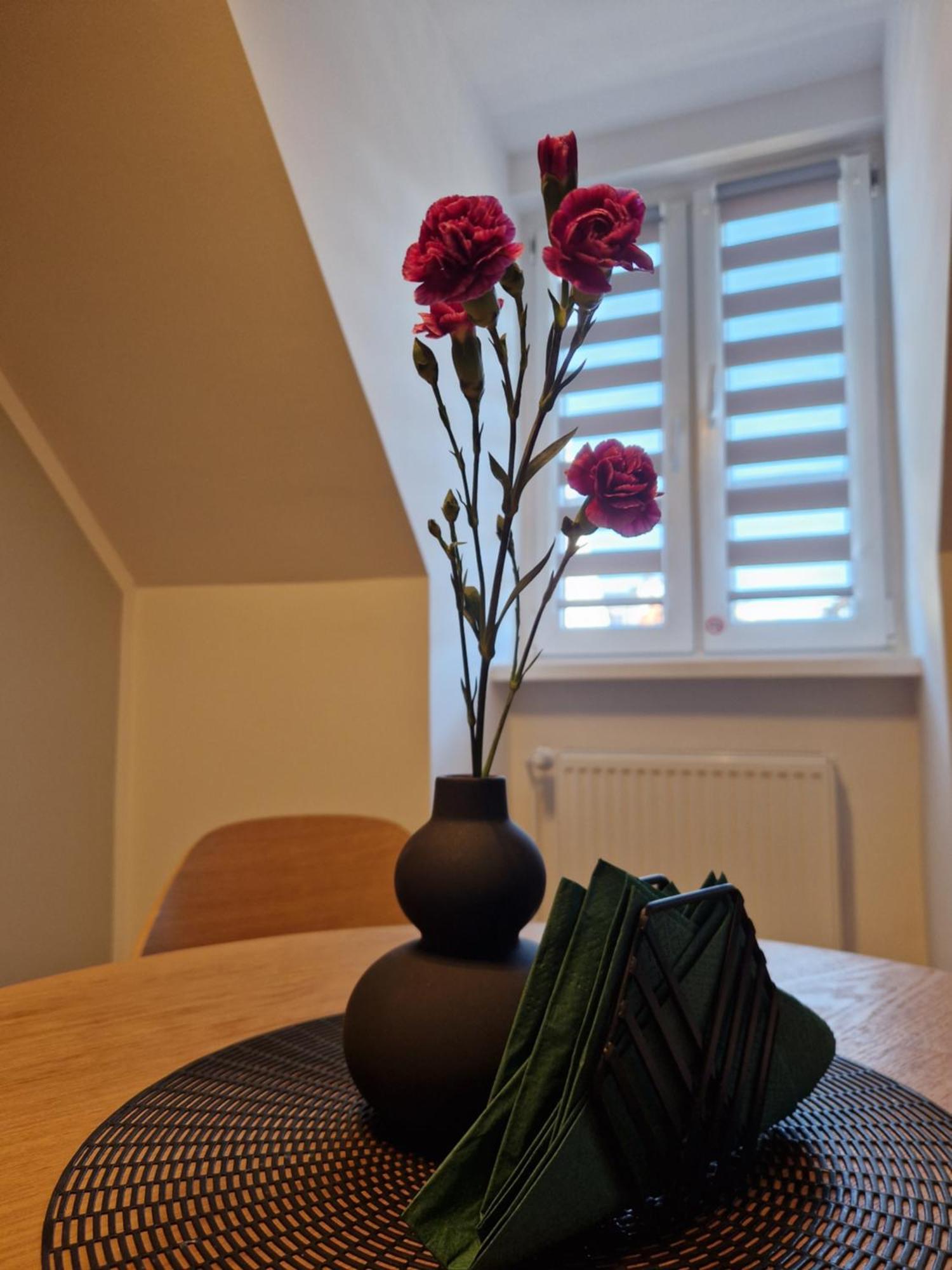 Apartament Rabianska 14 Stary Toruń Εξωτερικό φωτογραφία